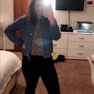 Meet your Posher, Morgan